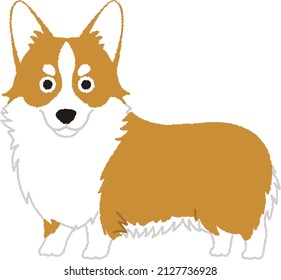 El Corgi galés de Pembroke es una raza de perro pastor de ganado. Los galeses de Pembroke son famosos como la raza preferida de la reina Isabel II.