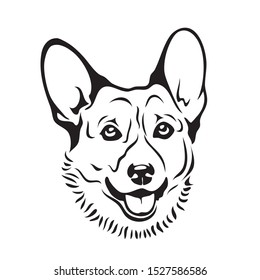 Pembroke Welsh Corgi dog breed - isolated vector illustration