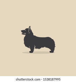 Pembroke Welsh Corgi dog breed - isolated vector illustration