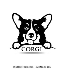 Pembroke Welsh Corgi dog breed - isolated vector illustration