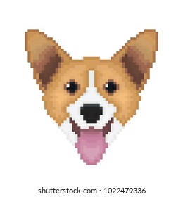 Pembroke Welsh Corgi dog head in pixel art style. Vector illustration.