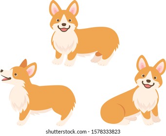Pembroke Welsh Corgi dogs whole body 
3 poses illustration set 
