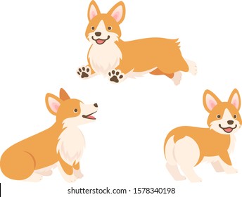 Pembroke Welsh Corgi dogs whole body 3 poses illustration set (Running, Looking up, Looking back)