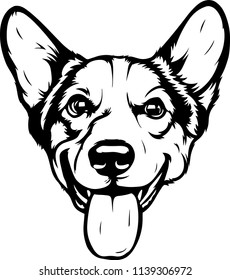 Pembroke Welsh Corgi Lap dog breed face head isolated pet animal domestic pet canine puppy purebred pedigree hound portrait peeking paws smiling smile happy art artwork illustration design set