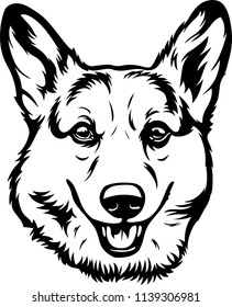 Pembroke Welsh Corgi Lap dog breed face head isolated pet animal domestic pet canine puppy purebred pedigree hound portrait peeking paws smiling smile happy art artwork illustration design set