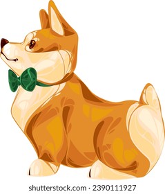 Pembroke Welsh corgi puppy with a green butterfly stands