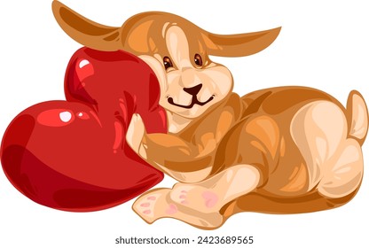 Pembroke Welsh corgi puppy lying with a big red heart