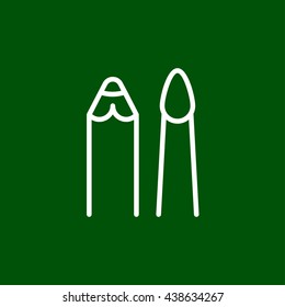 pen and brush line icon