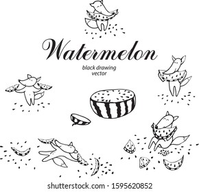 a pen drawing of cute chanterelles eating a watermelon