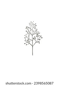 Pen drawing flower save frame green documents rose