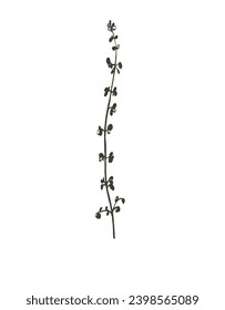 La flor de dibujo ahorra el marco verde documentos