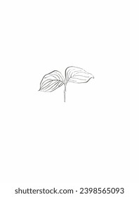 La flor de dibujo ahorra el marco verde documentos