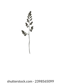Pen drawing flower save frame green documents rose