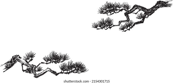 Pen drawing illustration of pine set