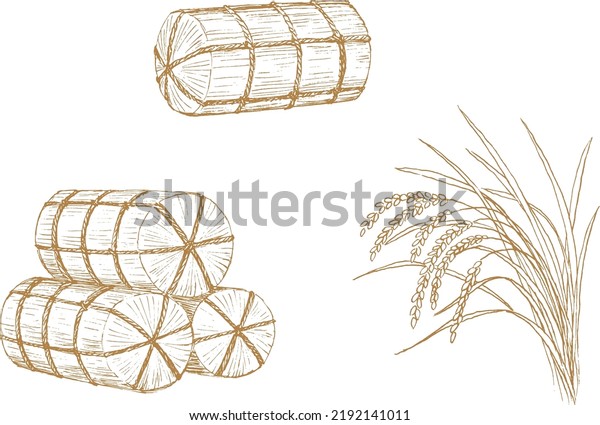 Pen\
drawing illustration of rice ear and rice\
bales