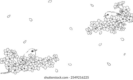 Pen drawing of Japanese white-eye and cherry blossoms