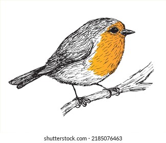 Pen drawing of a robin. Vectorized and colored.
drawing is black and white except for the orange part of the bird.