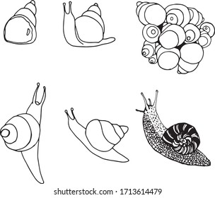 bolígrafo dibujando caracoles, conchas de caracol