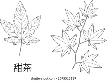 Pen drawing of sweet tea leaves. Japanese it is written "Sweet tea leave"