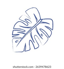 Pen drawn monstera leaf on white background. Botanical doodle element. Vector vintage branch