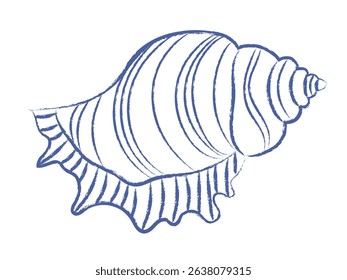 Pen drawn seashell on white background. Sea shell doodle with wavy pattern. Vector vintage element