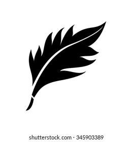 pen feather icon