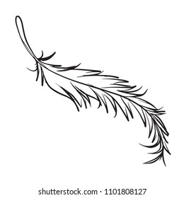 Pen Feather icon vector