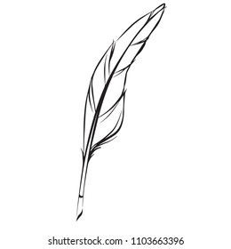 Pen Feather Vector Drawing Stock Vector (royalty Free) 1103663396 