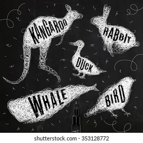 Pen hand drawing tangle wild animals duck, whale, bird, rabbit, kangaroo with inscription names drawing with white ink on black background