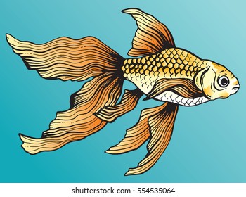 Pen and ink drawing of a beautiful orange goldfish