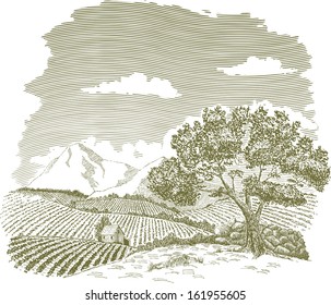 Pen and ink drawing of a farm field with mountains in the background.