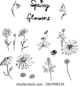 pen and ink drawing of spring flowers