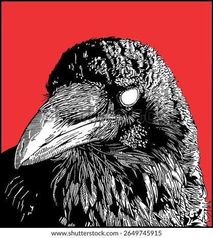 Pen and ink, hand drawn, crow illustration on red becground.