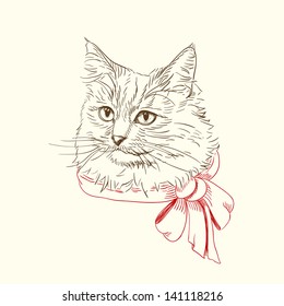 Pen and ink illustration of cat with red bow