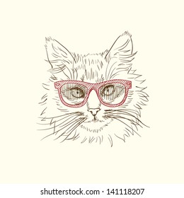 Pen and ink illustration of cool cat in red sun glasses