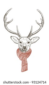 Pen and ink illustration of deer in scarf