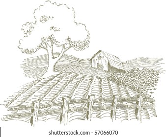 Pen and ink style illustration of a farm scene.