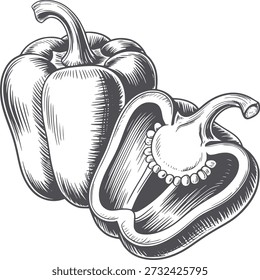 Pen and ink of whole and halved red bell pepper capsicum with seeds bellpepper vegetable