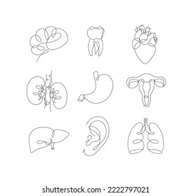 Pen line internal organs brain, tooth, heart, kidneys, stomach, uterus, liver, ear, lungs drawing in modern style on white background