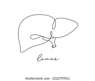 Pen Line Poster Liver Drawing In Pen Line Style On White Background