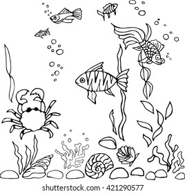 Pen sketch of aquarium with fishes, stones and shells. Vector.