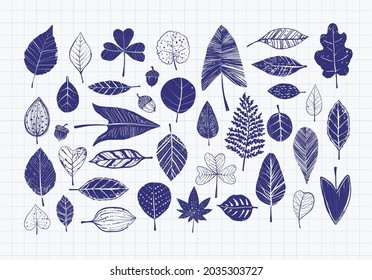Pen sketch doodles of leaves on lined paper background.
