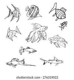 5,029 Goldfish sketch Images, Stock Photos & Vectors | Shutterstock