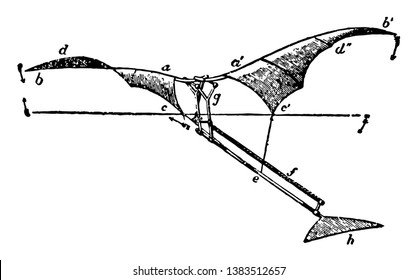 Penaud Artificial Flying Bird where lactic wings which twist and untwist when made to vibrate, vintage line drawing or engraving illustration.