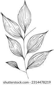 pencil botanical drawings, botanical leaf vector, botanical leaf line art black and white, leafs line art, leaf drawings, sketch leavs drawing, hand drawn botanical elements.
