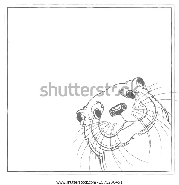 pencil drawing cute otter head on stock vector royalty free 1591230451 https www shutterstock com image vector pencil drawing cute otter head on 1591230451