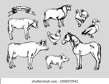 Pencil drawing "Farm animals", vector.