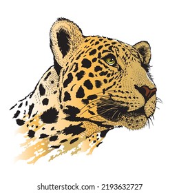 Pencil drawing of the head of a leopard in a minimalist style, suitable for a logo, tattoo, interior decoration, paintings, print on textiles and t-shirts. Predator, Panthera.