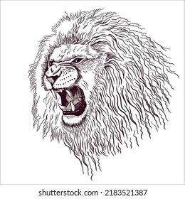 Pencil Drawing Head Roaring Lion Minimalist Stock Vector (royalty Free 