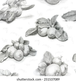 Pencil hand drawing apples. Vector illustration. Isolated on white background